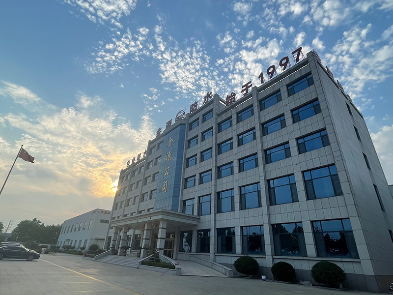公司实力