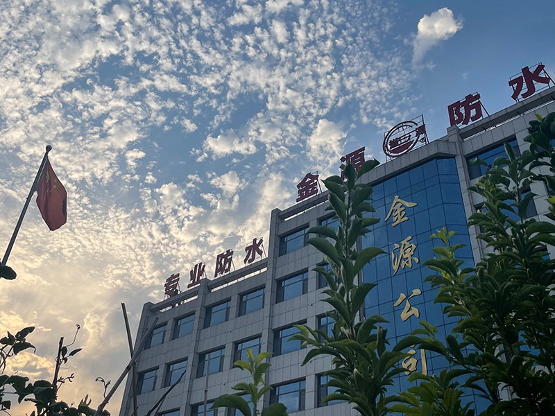 公司实力